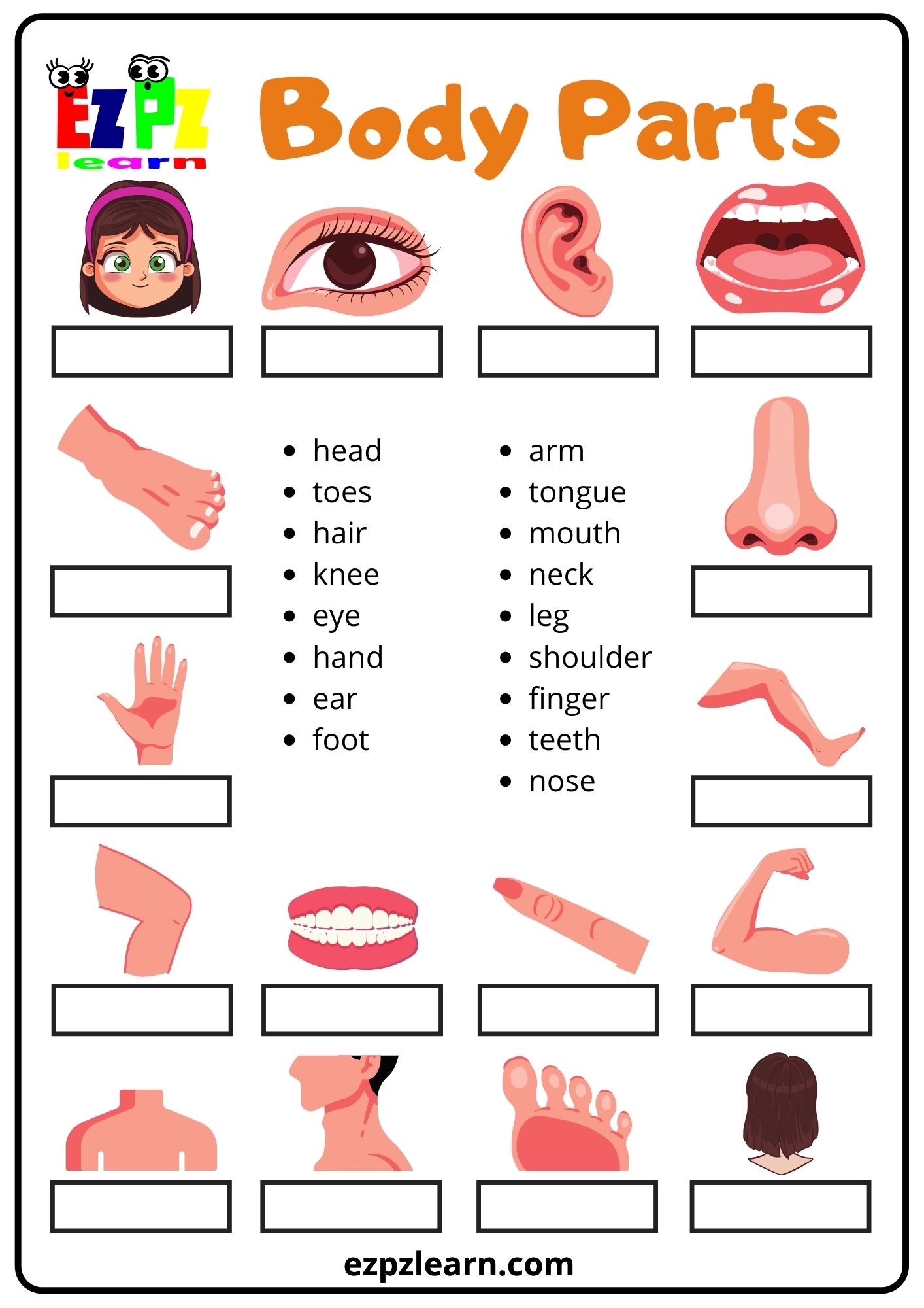 Body Parts Word Match